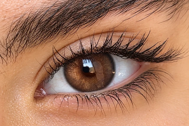نمونه رنگ لنز لنز قهوه ای روی چشم