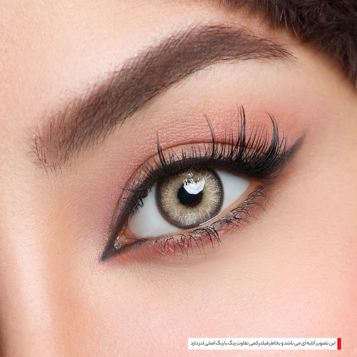 لنز عسلی طلایی دورمشکی لس آنجلس گلد آماندا