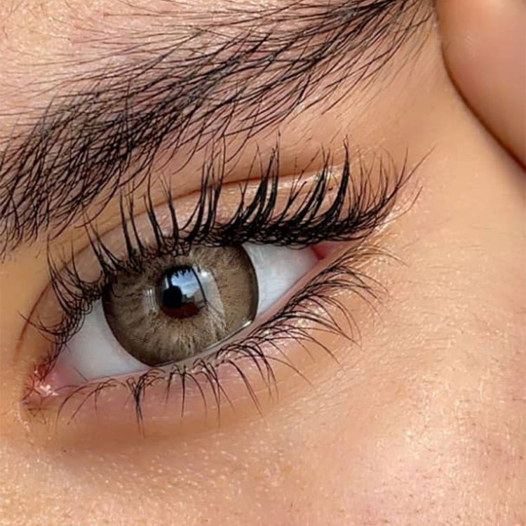 لنز قهوه ای شکلاتی دوردار تافی براون آماندا